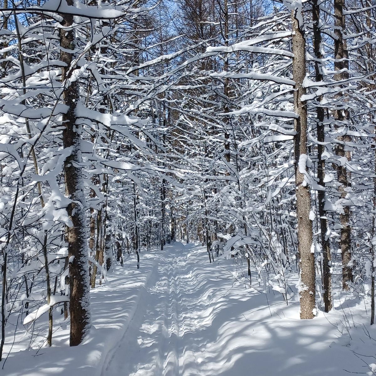 quoi-faire-beauce-ski-planche-neige-ski-fond-sentier-pierre-harvey-1