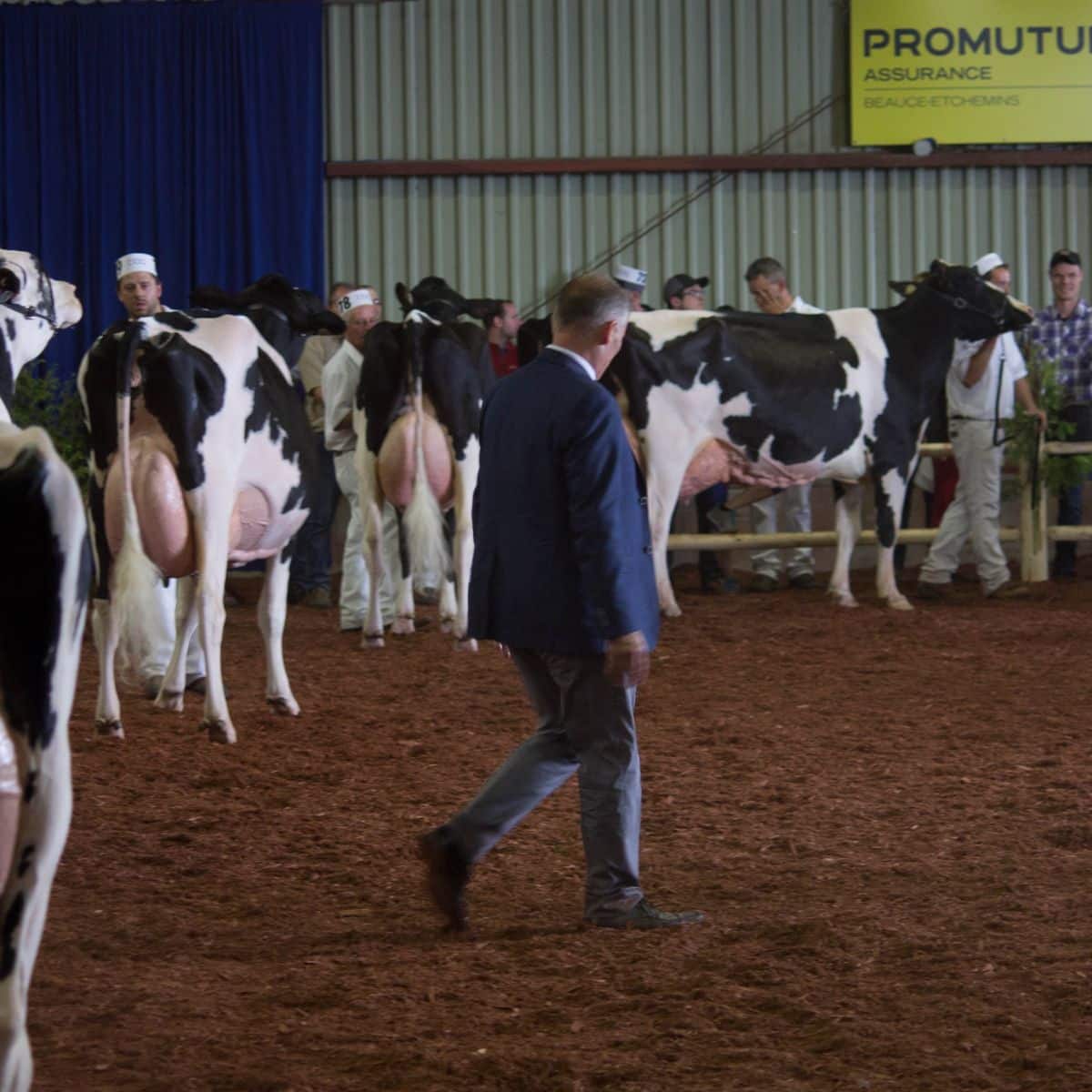 blogue-expo-agricole-de-beauce (1)