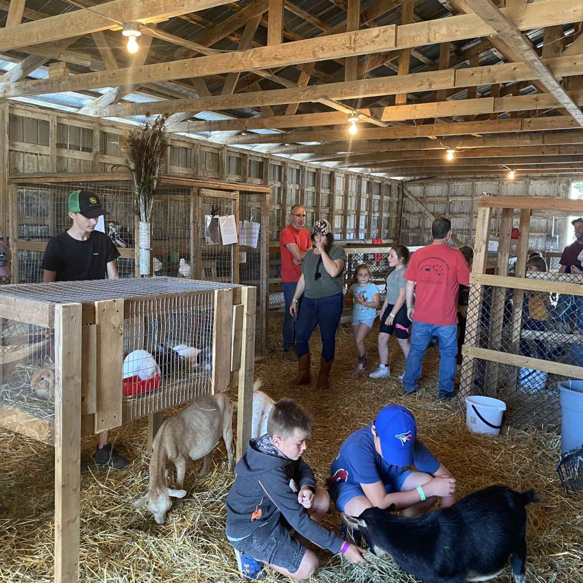 blogue-expo-agricole-de-beauce (2)